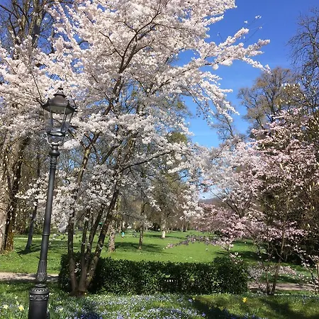 Deluxe バーデン＝バーデン